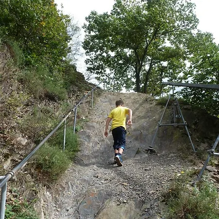 Scheid Volker Sankt Aldegund