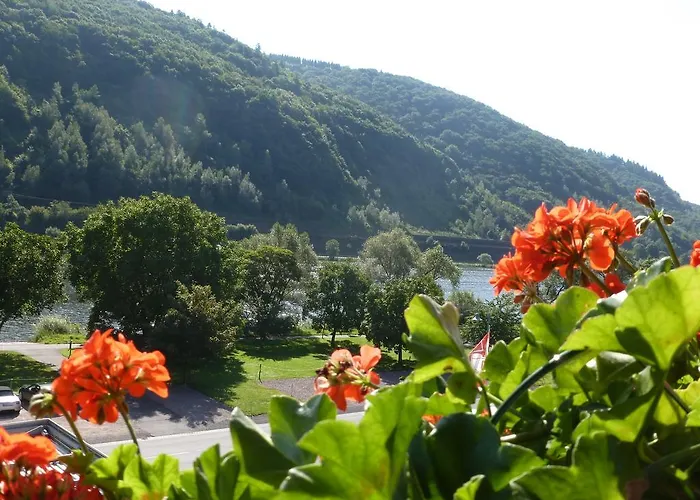 Apartman Scheid Volker Sankt Aldegund