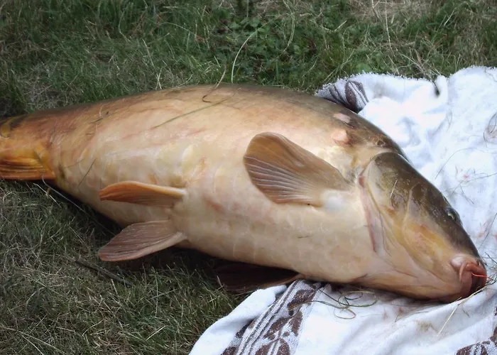 Scheid Volker Apartamento Sankt Aldegund